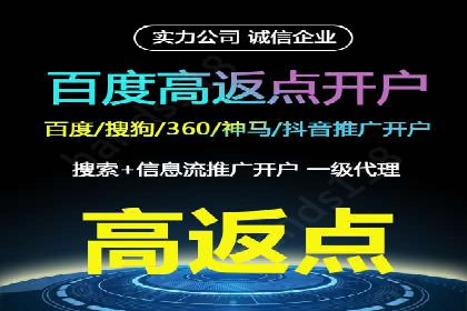 百度广告推广案例解析